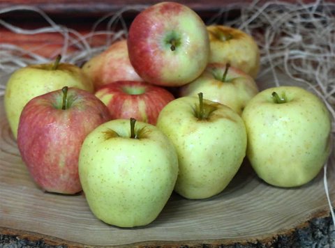 yaklaşık 1 kg elma